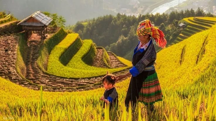Mu Cang Chai Photography Tour 3 Days